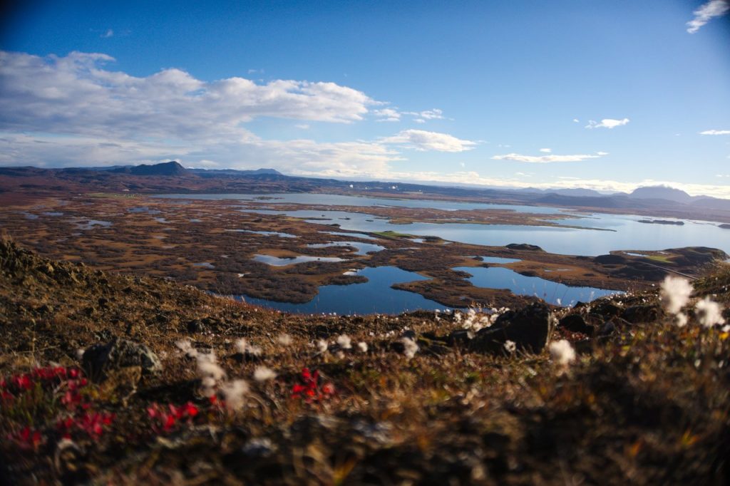 Aussicht über Mývatn